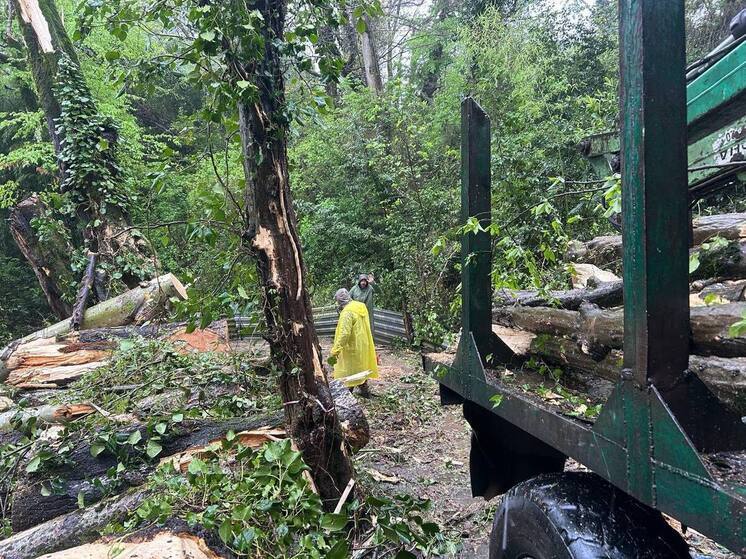 В Сочи ликвидируют последствия непогоды
