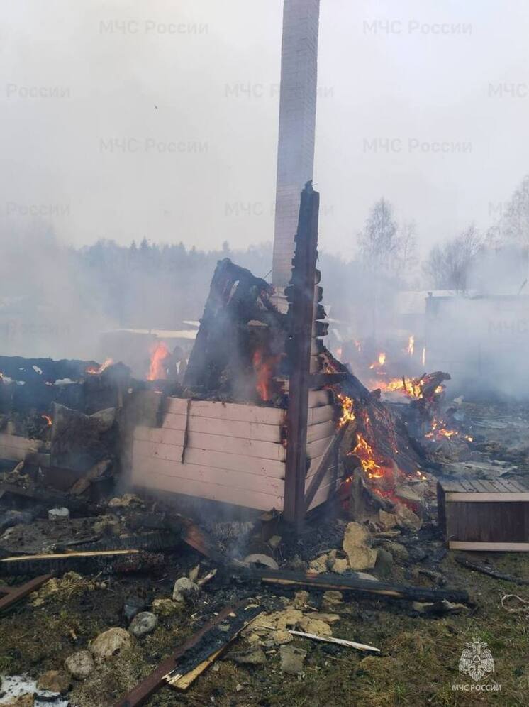 Калужские спасатели за сутки потушили пять пожаров