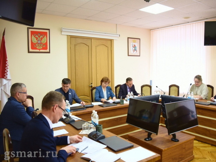 Депутаты и медики Марий Эл обсуждают закон о запрете склонения к аборту