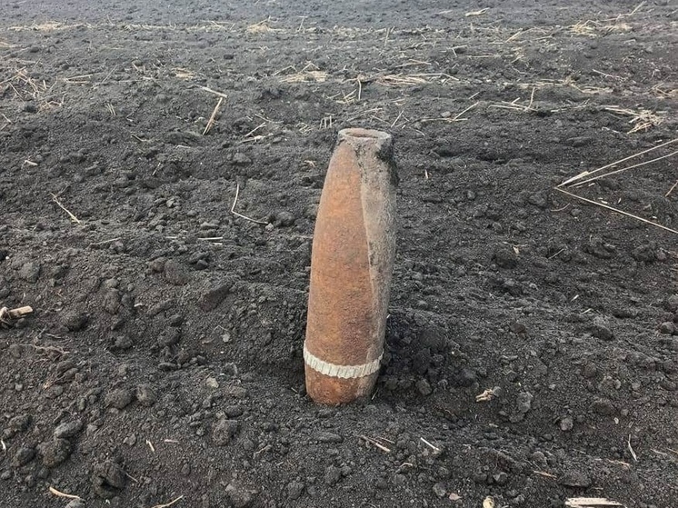 В поле в Курской области обнаружили два артиллерийских снаряда