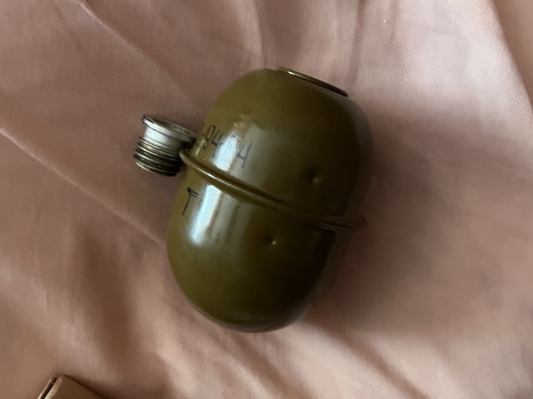 Рязанец получил условный срок за хранение наркотиков, гранаты и патронов