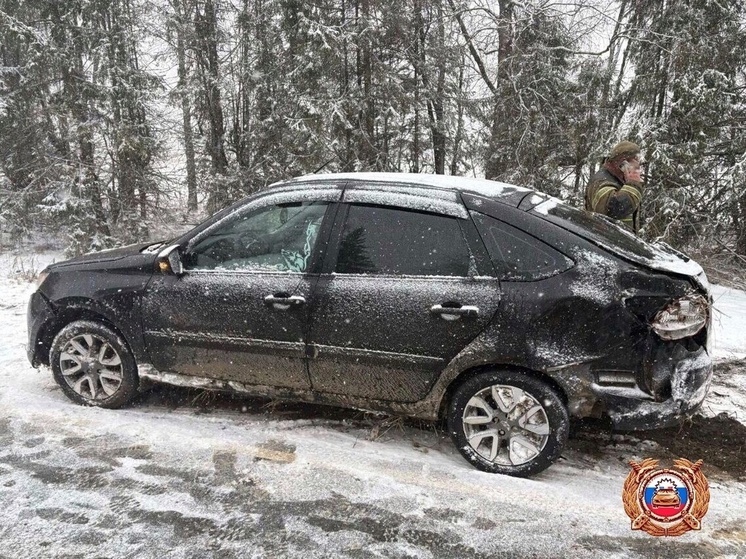 В Тверской области младенец и женщина пострадали в ДТП