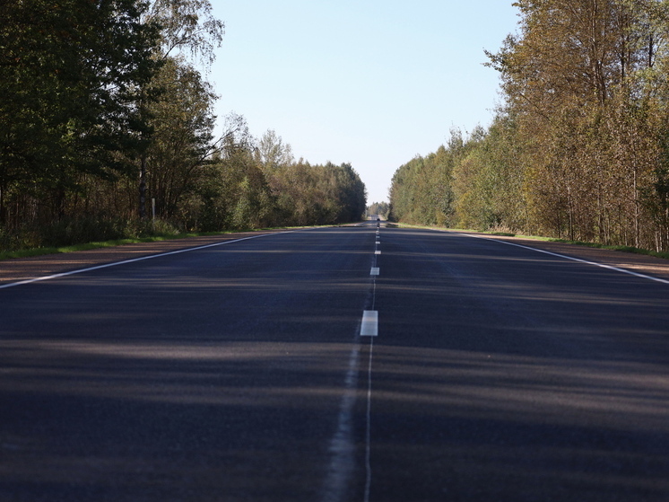 Ремонт ключевых региональных дорог продолжается в Псковской области