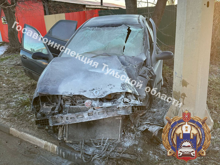 Водитель и пассажир Renault пострадали после опрокидывания в кювете в Ефремове