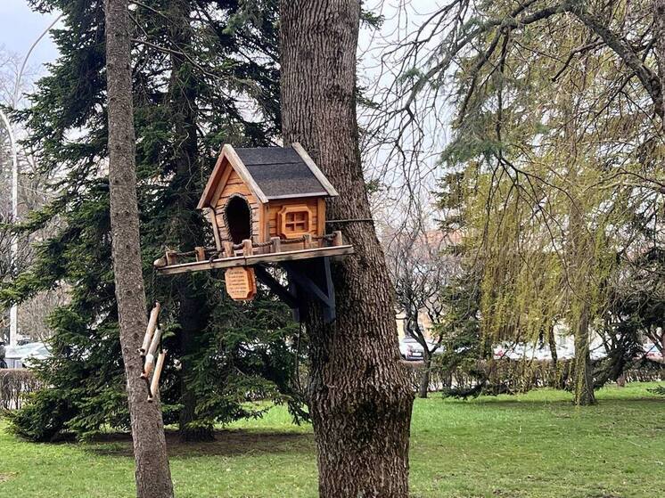 В Железноводске курортники встретили чёрную белку