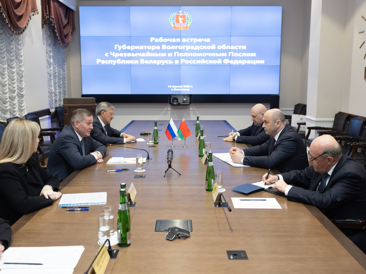 Андрей Бочаров встретился с послом Беларуси в России Александром Рогожником