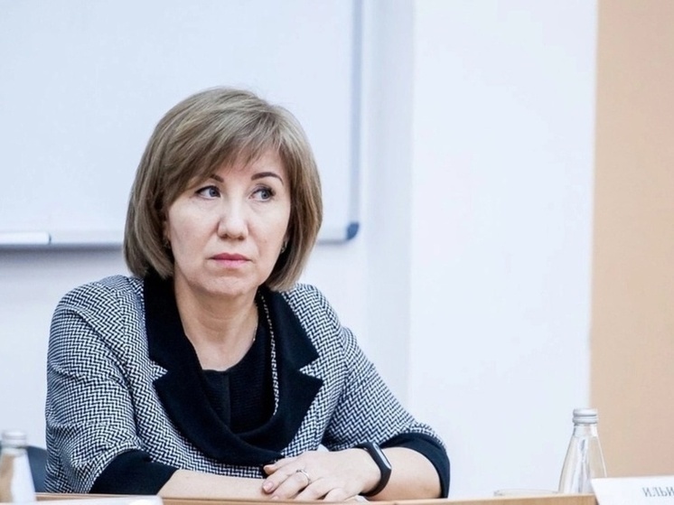 Оборотнем без стыда и совести назвал псковский депутат ректора Наталью Ильину