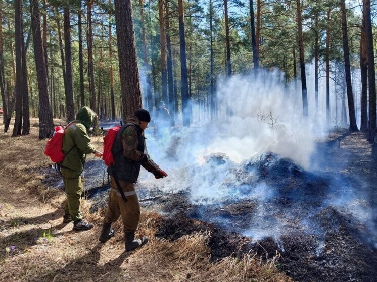 В Иркутской области потушен лесной пожар