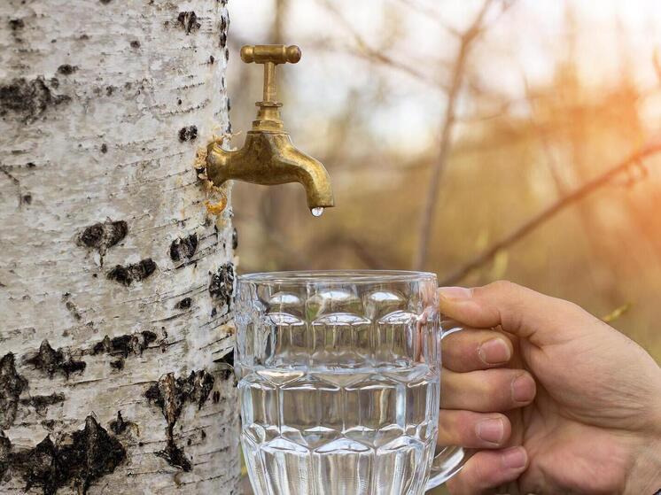 Синоптики 11 апреля обещают в Смоленске пасмурную погоду