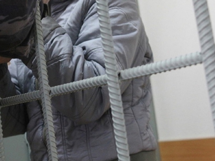 Суд отправил в колонию мигранта, домогавшегося школьницы в Екатеринбурге
