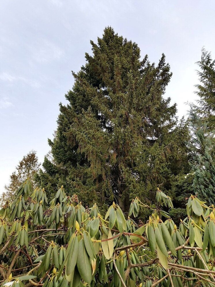 Стало известно, какая погода ожидает хабаровчан 11 апреля