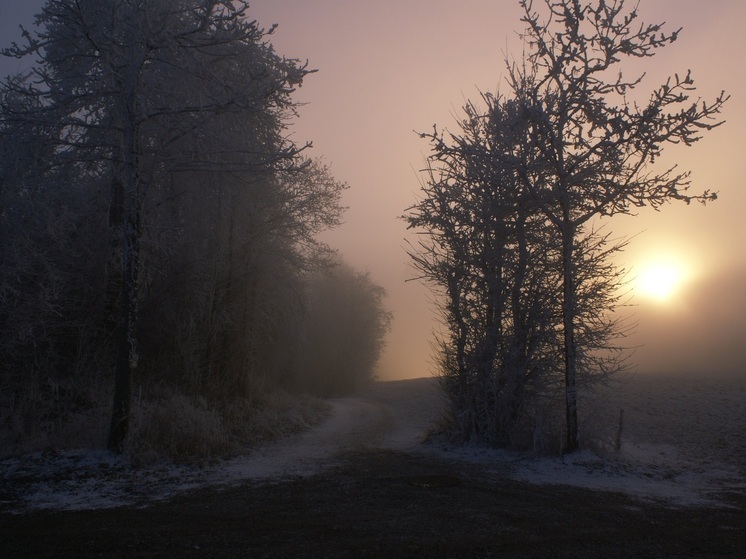 Калужские синоптики обещают туман и снег