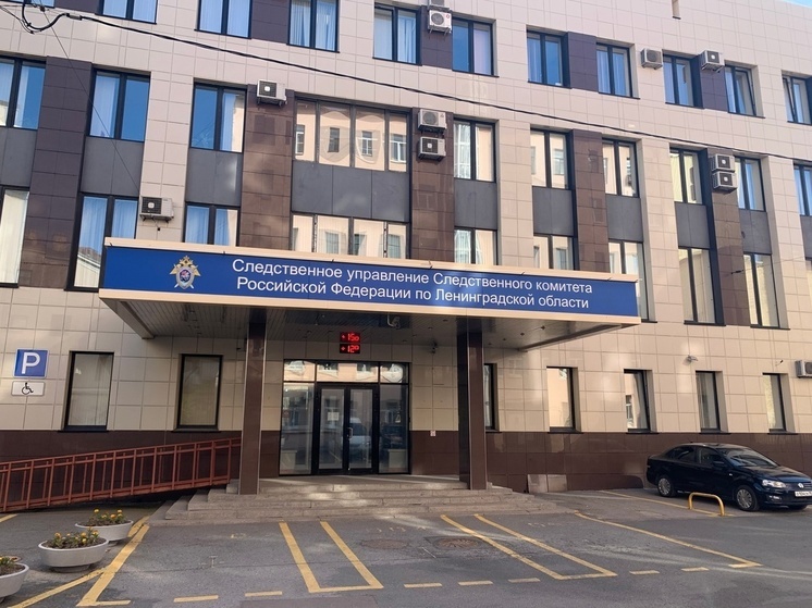 Бастрыкин приказал найти мошенников, обманувших жительницу Кузьмолово