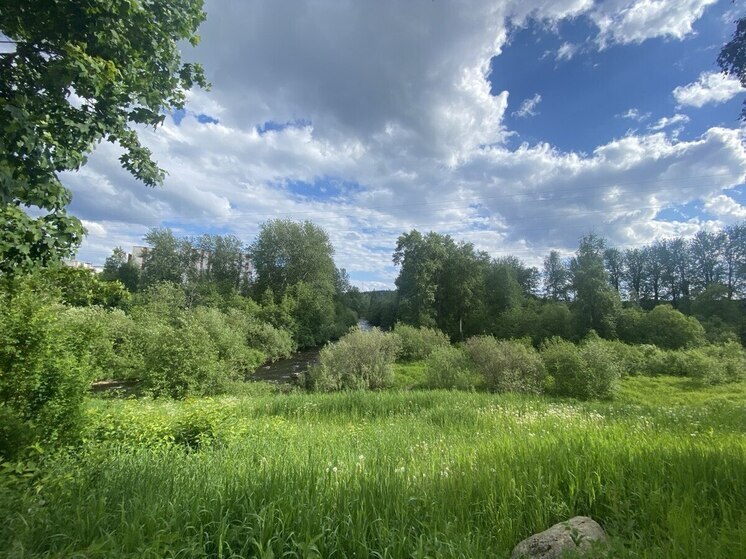 Артур Парфенчиков поручил увеличить темпы предоставления земельных участков под ИЖС в Костомукшском округе