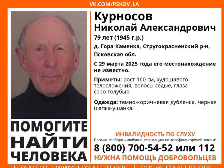 Тепло одетого пенсионера с красивой фамилией ищут в Стругокрасненском округе
