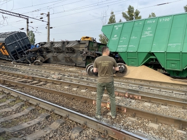 Дорожный мастер заплатит 5 млн рублей за сход 8 вагонов под Воронежем