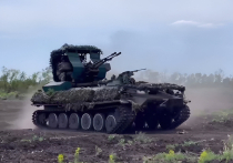 Российский специалист в области военной аналитики Игорь Коротченко объяснил, как легко избавиться от нового дрона киевских радикалов RZ-500, также известного как «Рамзай»