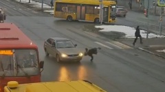В Ярославле сбили школьника перебегавшего дорогу на красный свет