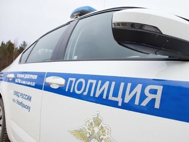10 бесправников за рулем авто за сутки попались инспекторам ГАИ Ямала