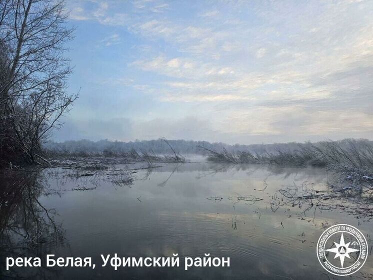 Вода в реке Белой в Уфе поднялась еще на 18 см