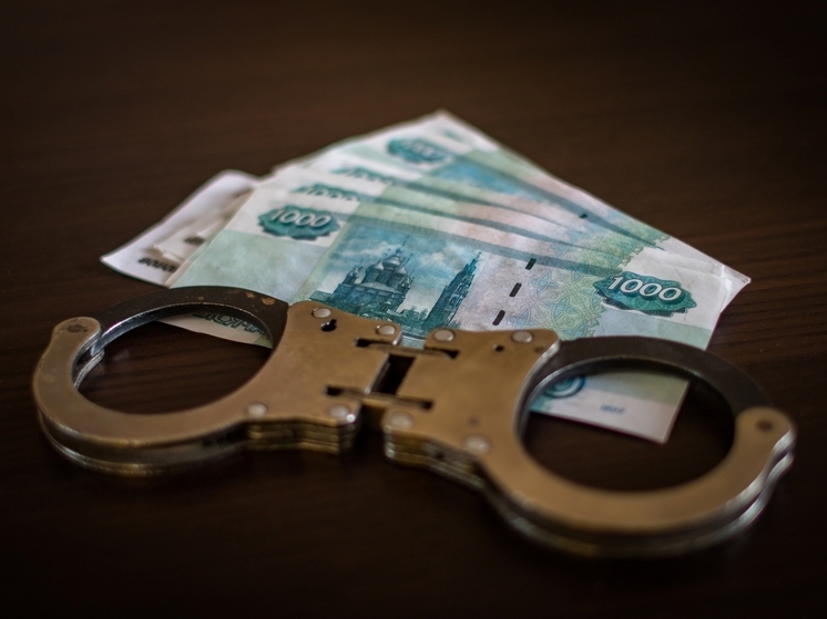 Петербуржец задержан после попытки мошенничества с компьютером в Петрозаводске