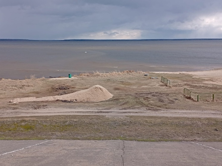 В Козьмодемьянске стартовало благоустройство городского пляжа