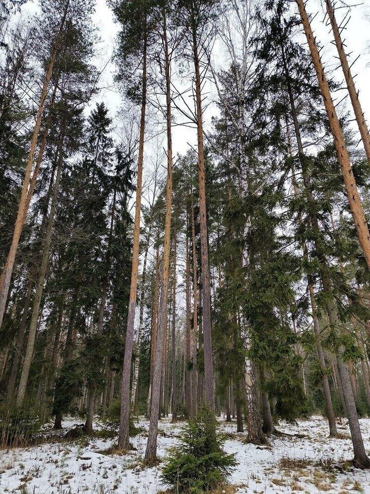 Двух благовещенцев поймали за браконьерством в Амурской области