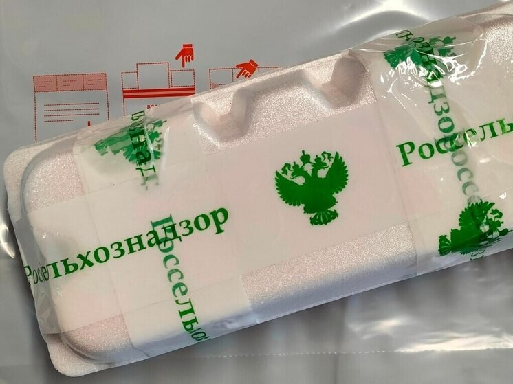 Более 2 миллионов инкубационных яиц поступили в Чувашию из Узбекистана