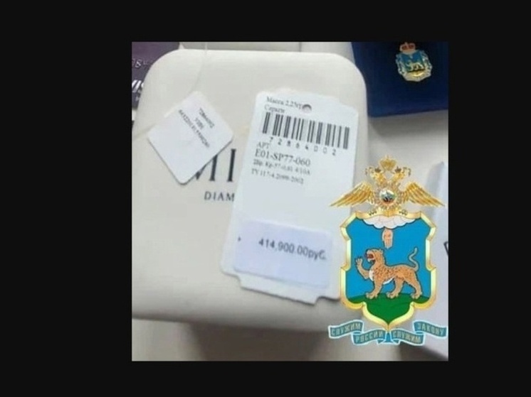 Сережками за 414 тысяч рублей могла себя баловать ректор ПсковГУ Наталья Ильина