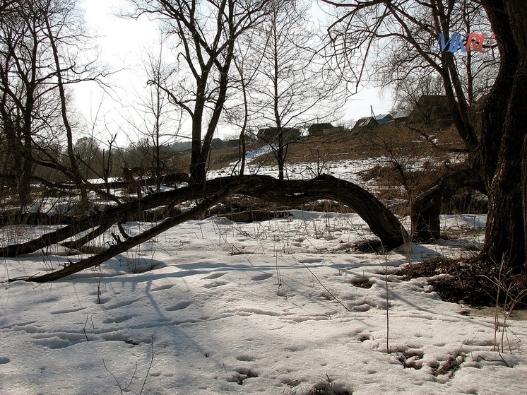 Калужские леса защитят беспилотники