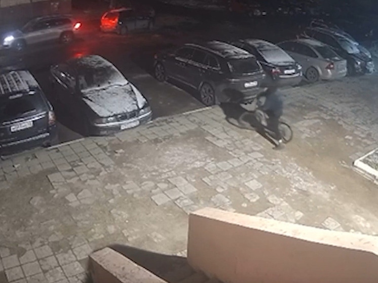 18-летний уголовник украл у липчанина велосипед за 15 тысяч рублей
