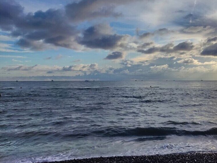 Ущерб водным биоресурсам возместят выпуском молоди сига в Мурманской области