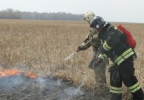 Пожары в лесах Алтайского края могут начаться уже в первой половине апреля