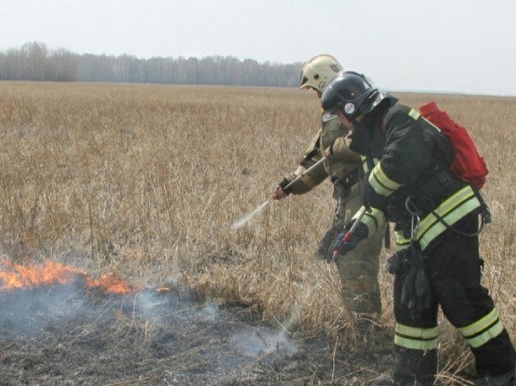 В шести районах Алтайского края объявили пожароопасный сезон