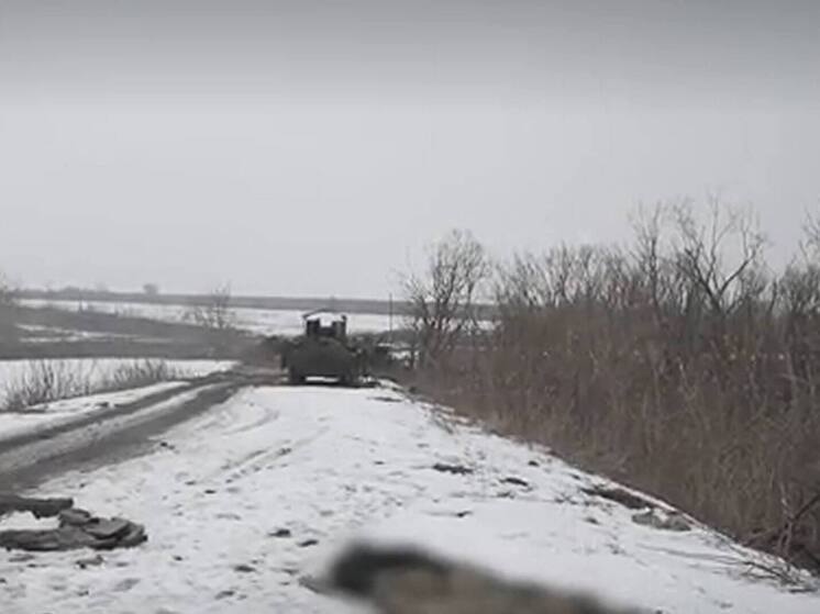 Боуз: ВСУ бросили трупы целого подразделения в Курской области