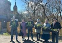 Старинная дворянская усадьба в Уваровском округе получила в подарок более ста саженцев различных растений. Уже этим летом многочисленные гости Старой Ольшанки смогут насладиться благоуханием роз и гортензий, вейгелы, ароматом флоксов, шалфея и тимьяна, а также полюбоваться декоративными кустарниками и хвойниками.
