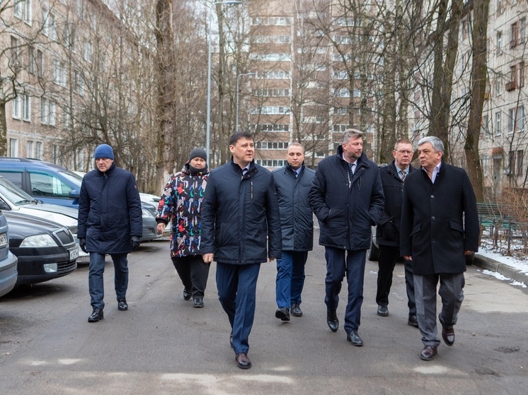 Удод проверил улицы Колпино на чистоту и опрятность