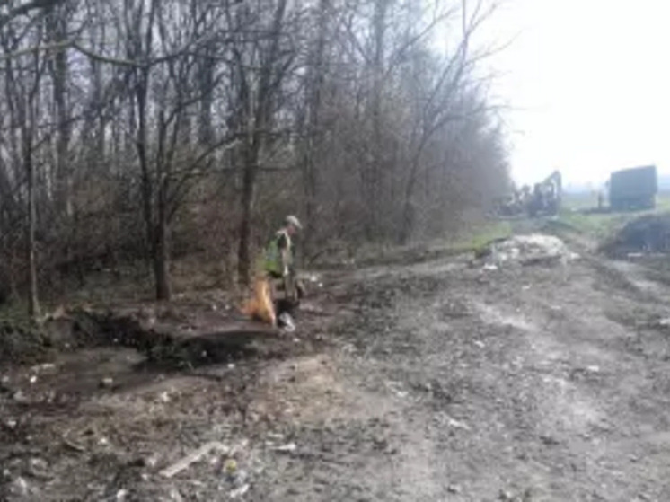 В Ростове в Суворовском начались работы по ликвидации крупной несанкционированной свалки