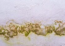 Советы дали специалисты красноярского ведомства