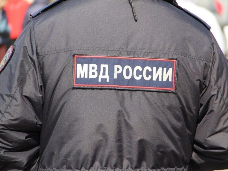 Хабаровскую «бизнесвумен» обманули мошенники на 5,4 миллиона рублей