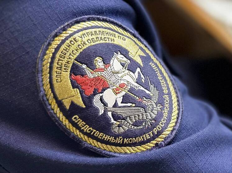 Глава СК России поручил проверить информацию иркутской блогерши