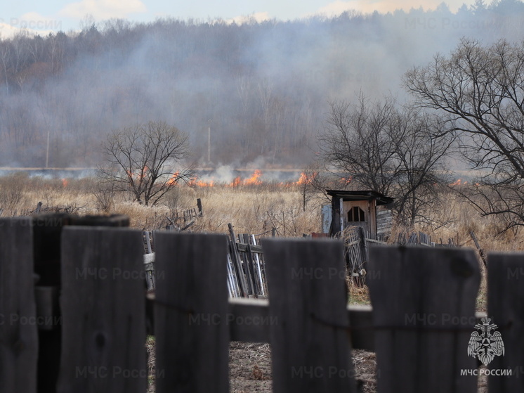 В городах и округах Амурской области введен особый противопожарный режим