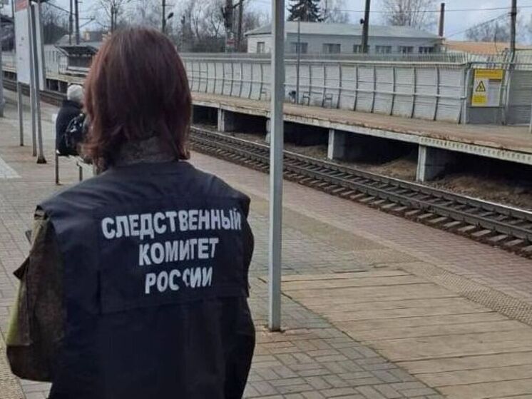 Пешеход попал под поезд на Горьковском направлении МЖД