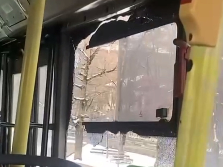 В Химках на ходу в троллейбусе вылетело стекло
