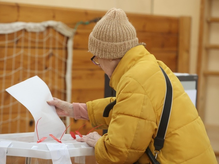 Выборы в окружной Совет депутатов стартовали в Люберцах