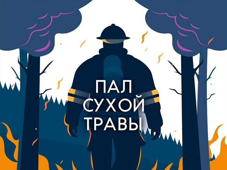 Палы травы: к какой беде в экосистеме может привести опасная традиция
