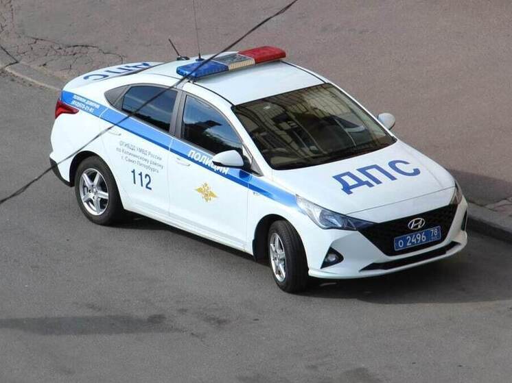 В Ломоносовском районе лежащего на обочине пешехода два раза переехали насмерть