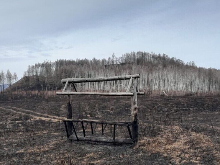 Самый старый заказник в Забайкалье пострадал от пожара