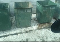 Живописная деревня Новогрудинина долгие годы считалась образцом уединенной загородной жизни