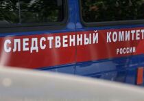 По версии следствия, сегодня утром возле караоке-клуба Vgostibar на улице Коммунистической между двумя компаниями произошел конфликт, переросший в драку